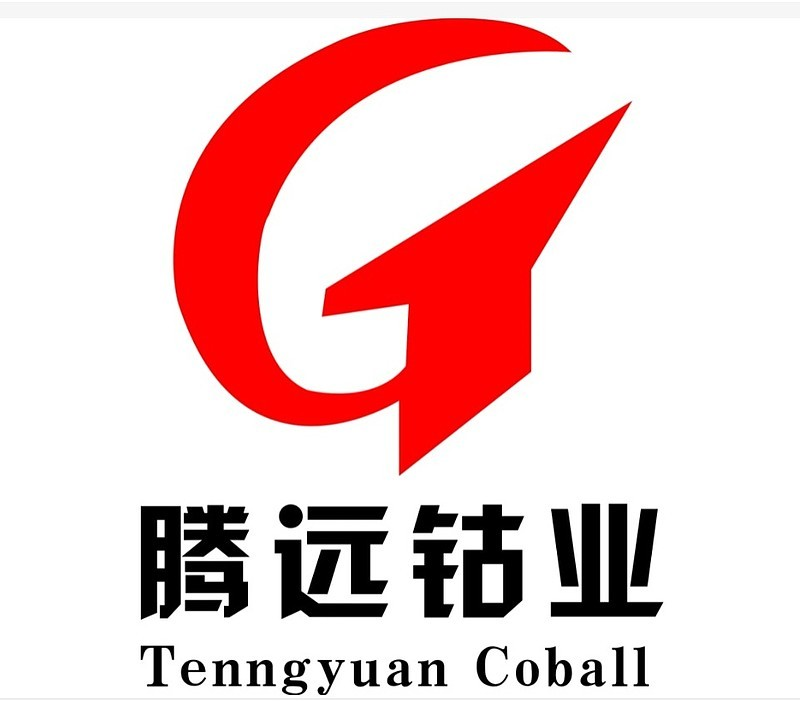 First Quarter Report 2025 of Ganzhou Tengyuan Cobalt New Material Co., Ltd.