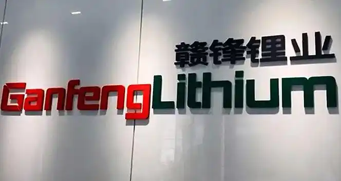 Jiangxi Ganfeng Lithium Group Co., Ltd. 2024 Annual Report