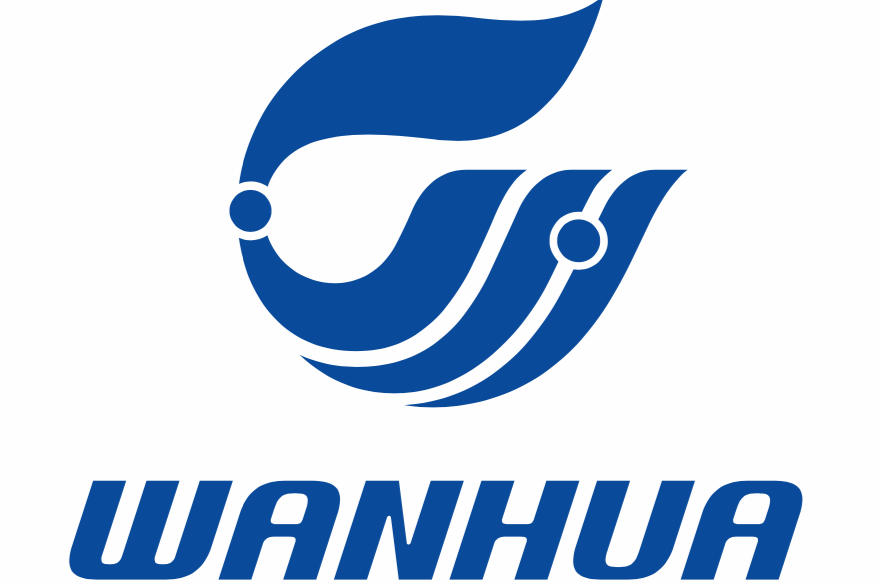 Wanhua Chemical Group Exits Ternary Cathode Materials, Shifts to Lithium Iron Phosphate (LFP) Production